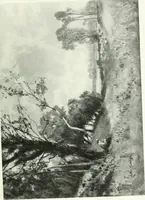 An illustration from Studio international (1893)