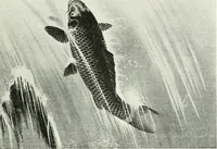 An illustration from Studio international (1893)
