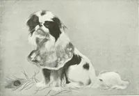 An illustration from Studio international (1893)