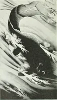 An illustration from Studio international (1893)