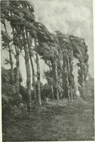 An illustration from Studio international (1893)