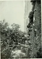 An illustration from Studio international (1893)