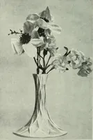 An illustration from Studio international (1893)