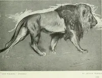 An illustration from Studio international (1893)