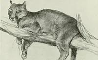 An illustration from Studio international (1893)