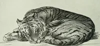 An illustration from Studio international (1893)