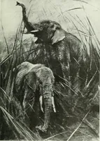 An illustration from Studio international (1893)