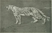 An illustration from Studio international (1893)