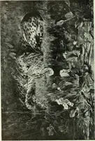 An illustration from Studio international (1893)