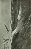 An illustration from Studio international (1893)