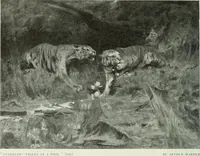 An illustration from Studio international (1893)