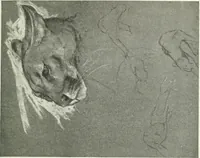 An illustration from Studio international (1893)