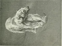 An illustration from Studio international (1893)