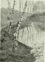 An illustration from Studio international (1893)