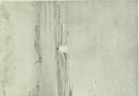 An illustration from Studio international (1893)