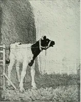 An illustration from Studio international (1893)