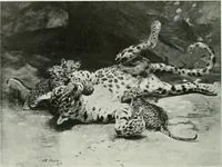 An illustration from Studio international (1893)