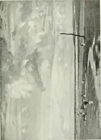 An illustration from Studio international (1893)