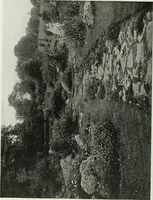 An illustration from Studio international (1893)