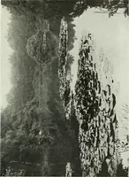 An illustration from Studio international (1893)