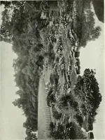 An illustration from Studio international (1893)