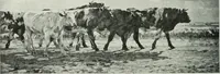 An illustration from Studio international (1893)