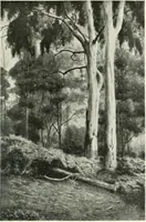 An illustration from Studio international (1893)