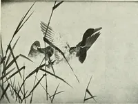 An illustration from Studio international (1893)