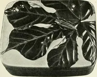 An illustration from Studio international (1893)