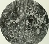 An illustration from Studio international (1893)