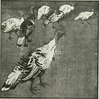 An illustration from Studio international (1893)