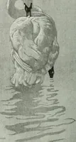 An illustration from Studio international (1893)