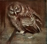 An illustration from Studio international (1893)