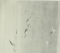 An illustration from Studio international (1893)