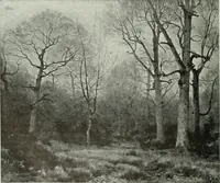 An illustration from Studio international (1893)