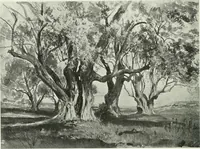 An illustration from Studio international (1893)