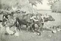 An illustration from Studio international (1893)