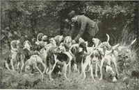 An illustration from Studio international (1893)