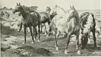 An illustration from Studio international (1893)