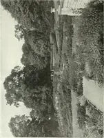 An illustration from Studio international (1893)