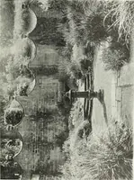 An illustration from Studio international (1893)