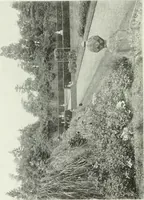 An illustration from Studio international (1893)