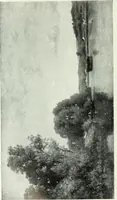 An illustration from Studio international (1893)