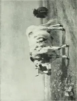 An illustration from Studio international (1893)