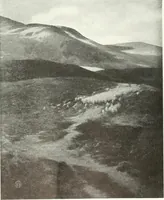An illustration from Studio international (1893)