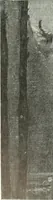 An illustration from Studio international (1893)