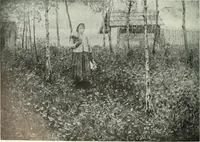 An illustration from Studio international (1893)