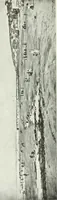 An illustration from Studio international (1893)