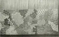 An illustration from Studio international (1893)