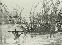 An illustration from Studio international (1893)